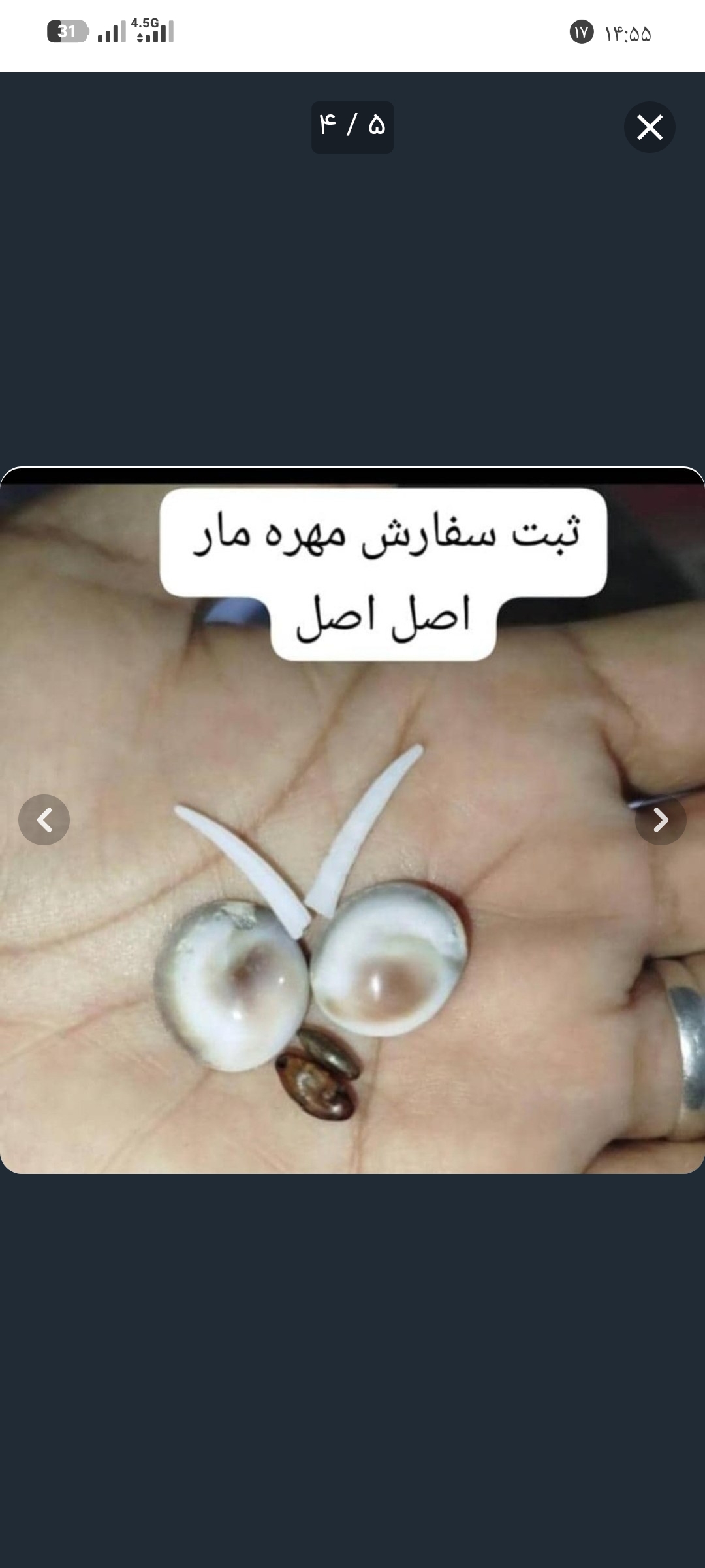 مهره مار بادعای به نام و فعال با هدیه کتاب به شرط  اصلی